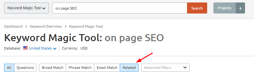 What Are LSI Keywords? Importance Of LSI Keywords In SEO