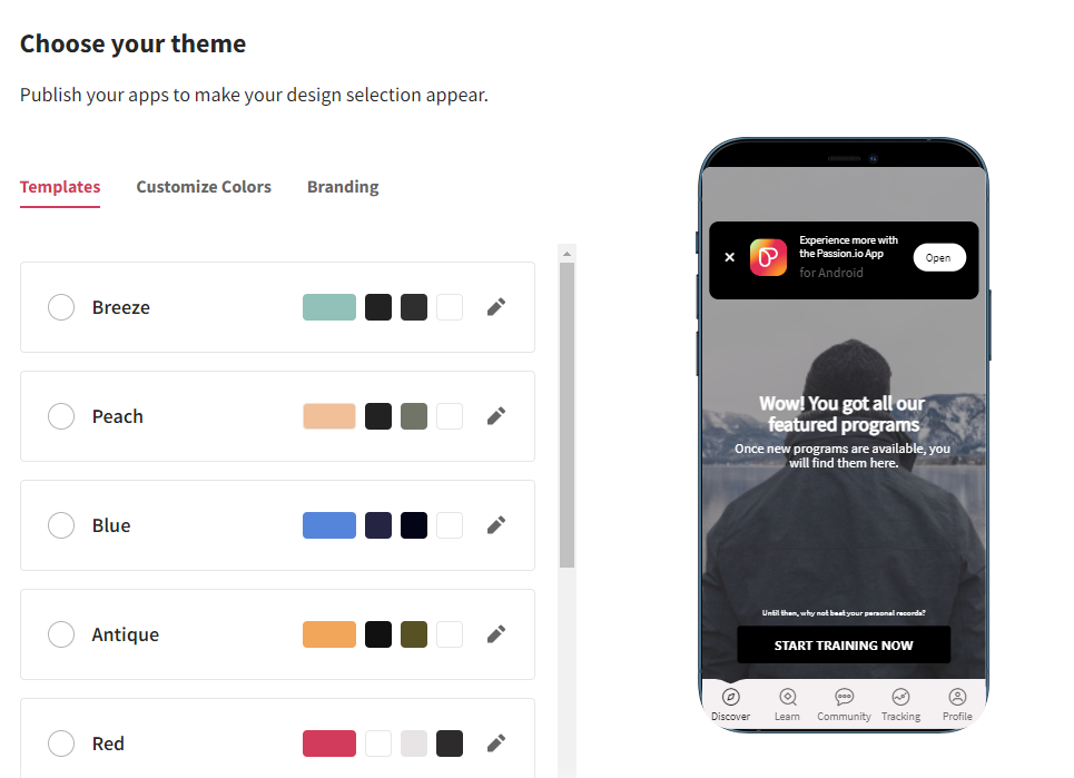 passion.io theme customization 