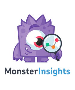 MonsterInsights
