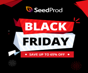 SeedProd Black Friday banner