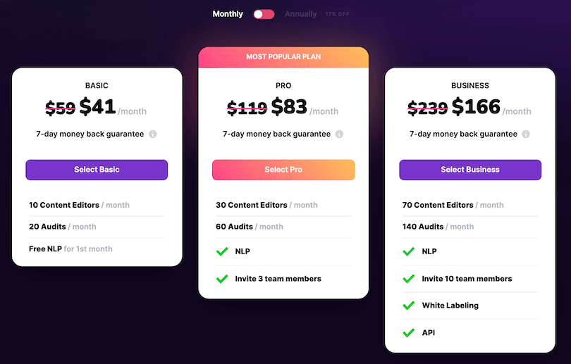 Surfer SEO Black Friday Pricing